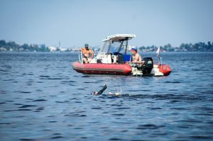 Onego swim - Плавательный клуб Mevis в Казани. Обучение плаванию взрослых