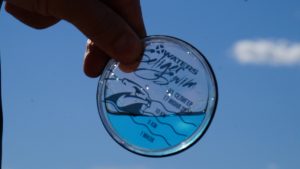 SilverSeligerSwim - Плавательный клуб Mevis в Казани. Обучение плаванию взрослых
