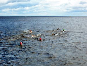 Onego swim - Плавательный клуб Mevis в Казани. Обучение плаванию взрослых